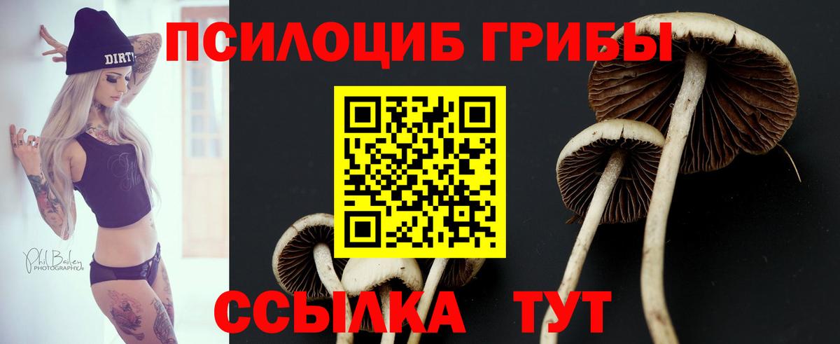 Псилоцибиновые грибы MAGIC MUSHROOMS  Вход с VPN  Новокуйбышевск 